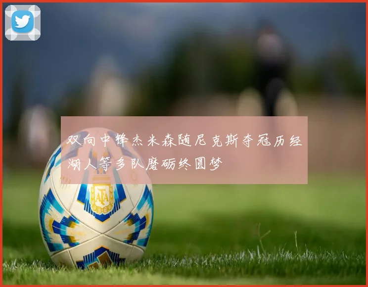 双向中锋杰米森随尼克斯夺冠历经湖人等多队磨砺终圆梦