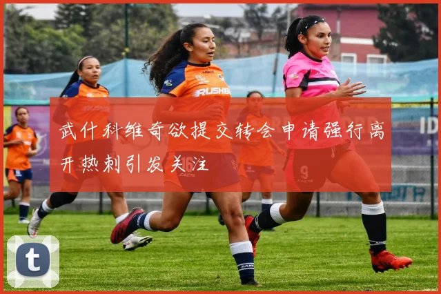 武什科维奇欲提交转会申请强行离开热刺引发关注